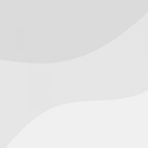 Traditional Spanish Cuisine